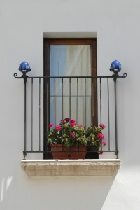 Pumi displayed on a balcony 
